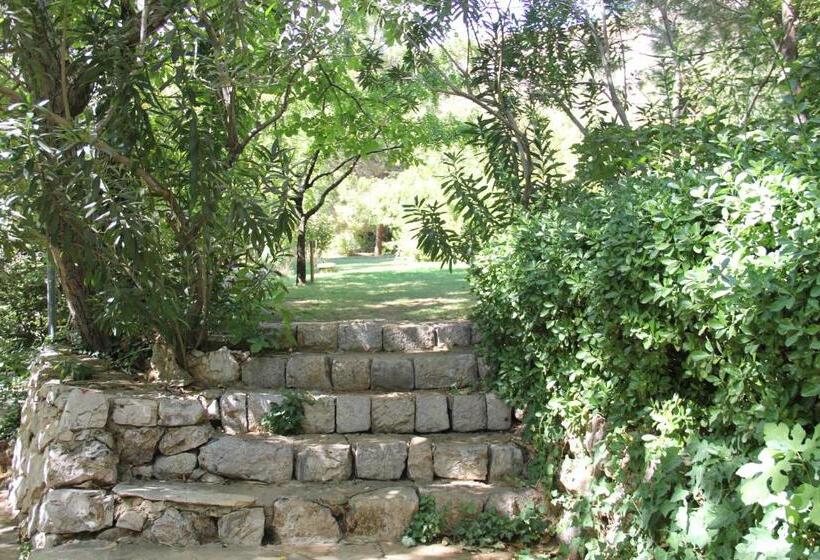 تختخواب و صبحانه Domaine De Chouchene