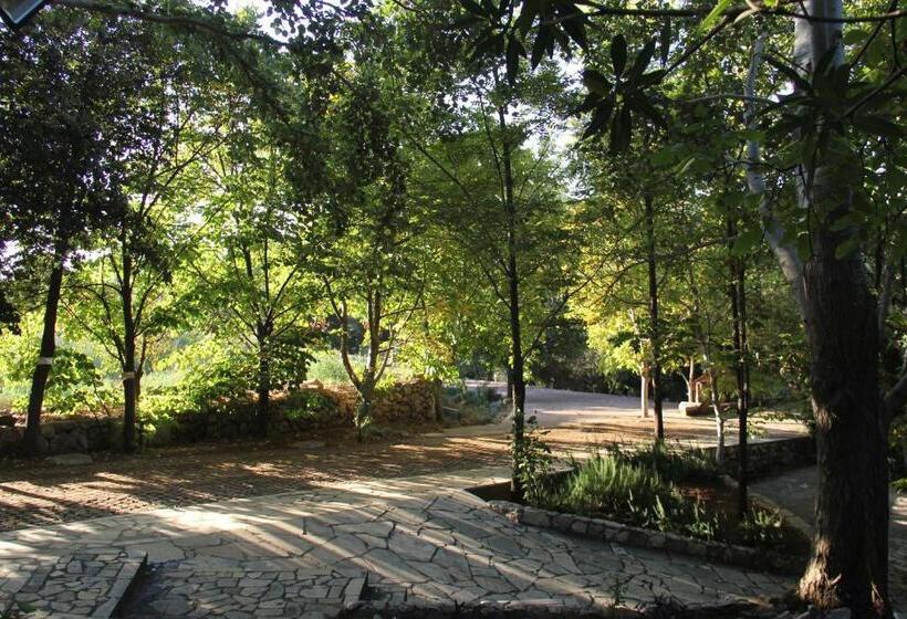 تختخواب و صبحانه Domaine De Chouchene