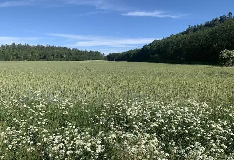 ベッドアンドブレックファースト Eds Bruk Basecamp