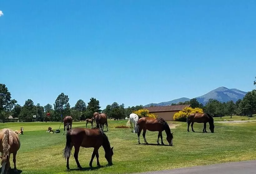 Buffalo Lodge