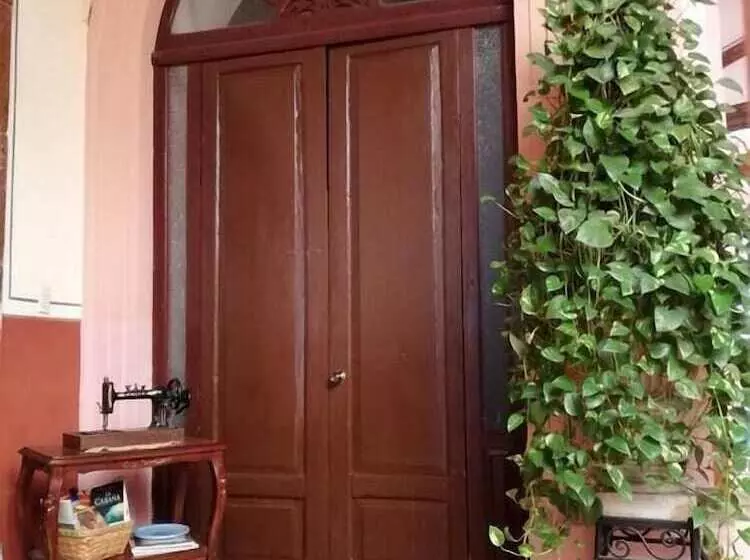 ホテル Boutique La Bella época Rotamundos