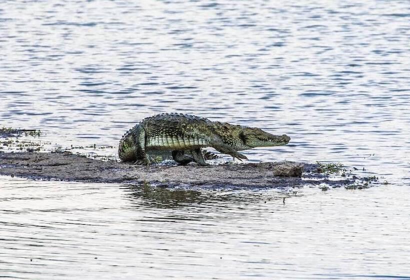 Hotel Brij Pola, Jawai   Luxury Jungle Camp With Private Pools