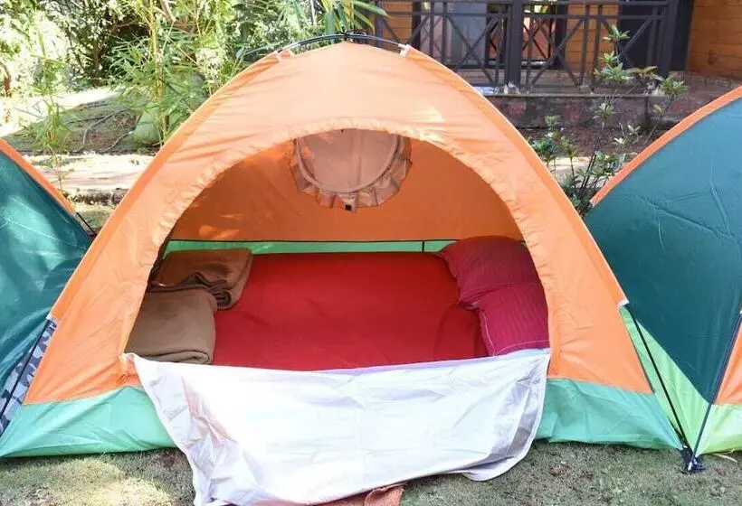 ホテル I Camp Resort