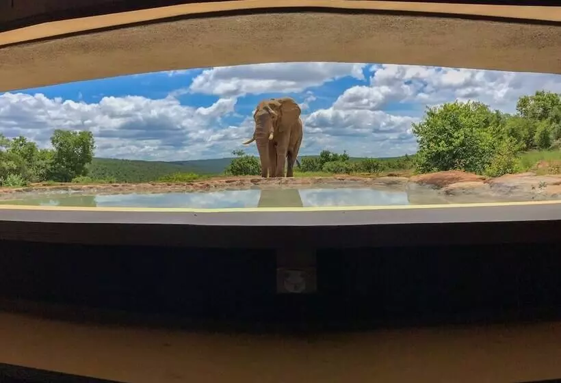 Hotelli Laluka Safari Lodge