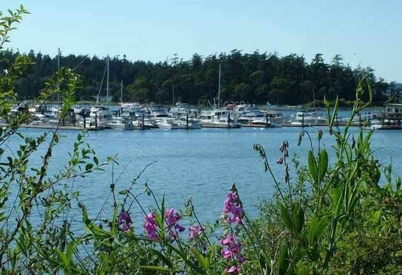 酒店 Lopez Islander Resort