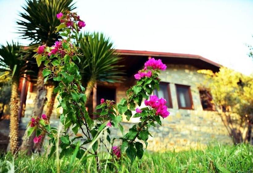 Hotel Pir Efes Konakları