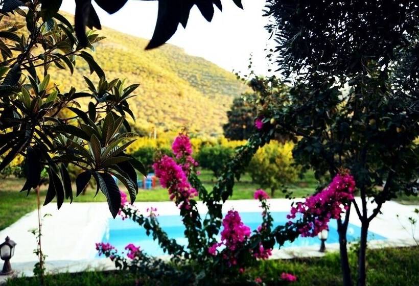 Hotel Pir Efes Konakları