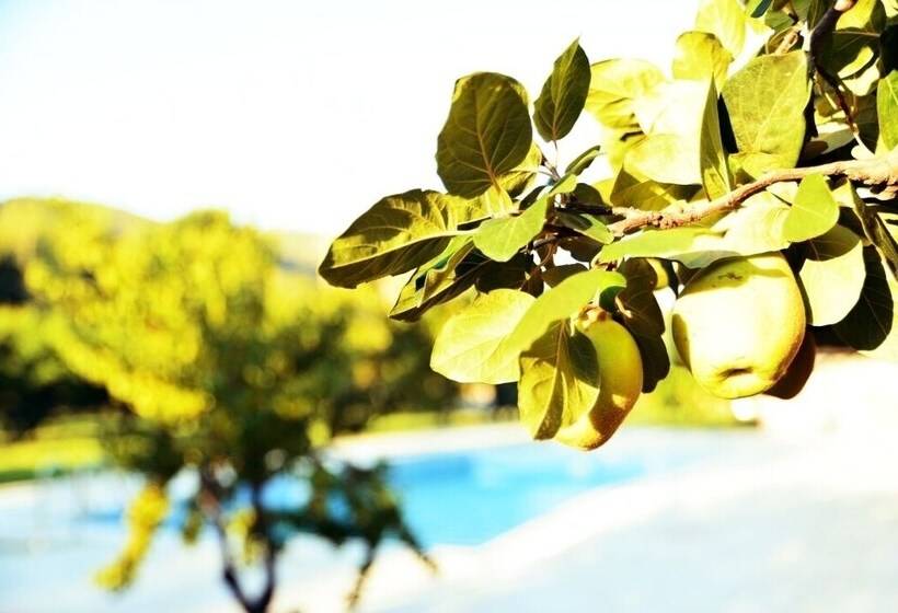 Hotel Pir Efes Konakları