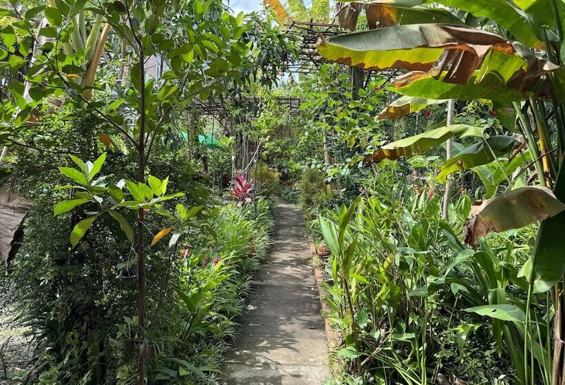 هتل روستایی Bau Bi Mini Farmstay  Mekong  Tien Giang