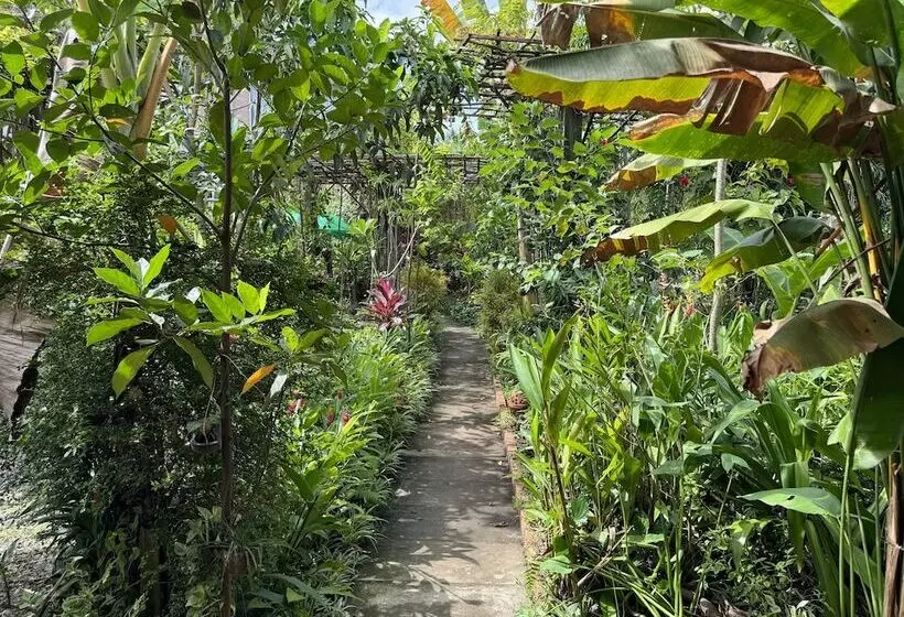 هتل روستایی Bau Bi Mini Farmstay  Mekong  Tien Giang