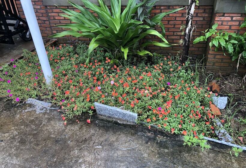 هتل روستایی Bau Bi Mini Farmstay  Mekong  Tien Giang