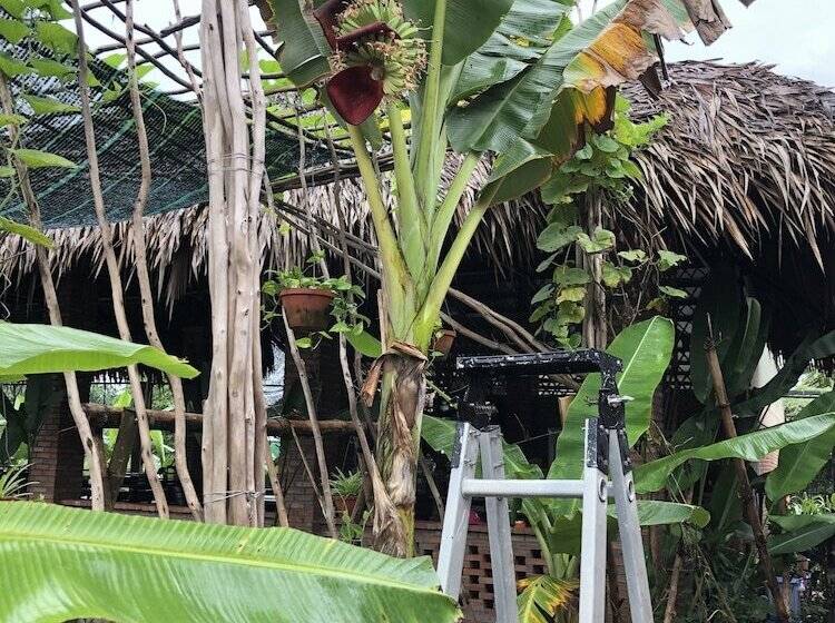 هتل روستایی Bau Bi Mini Farmstay  Mekong  Tien Giang