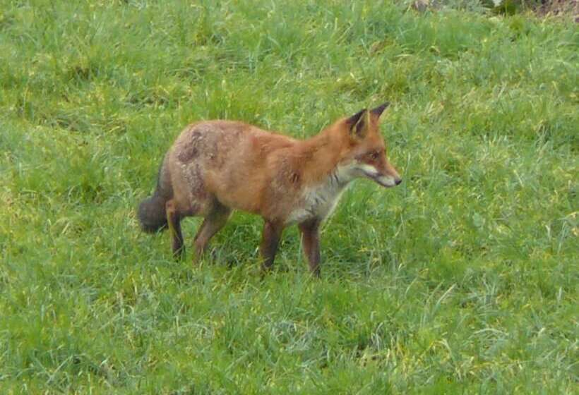 酒店 The Motor House