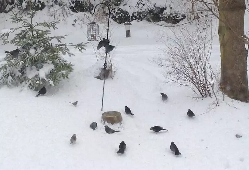 Hotelli The Motor House