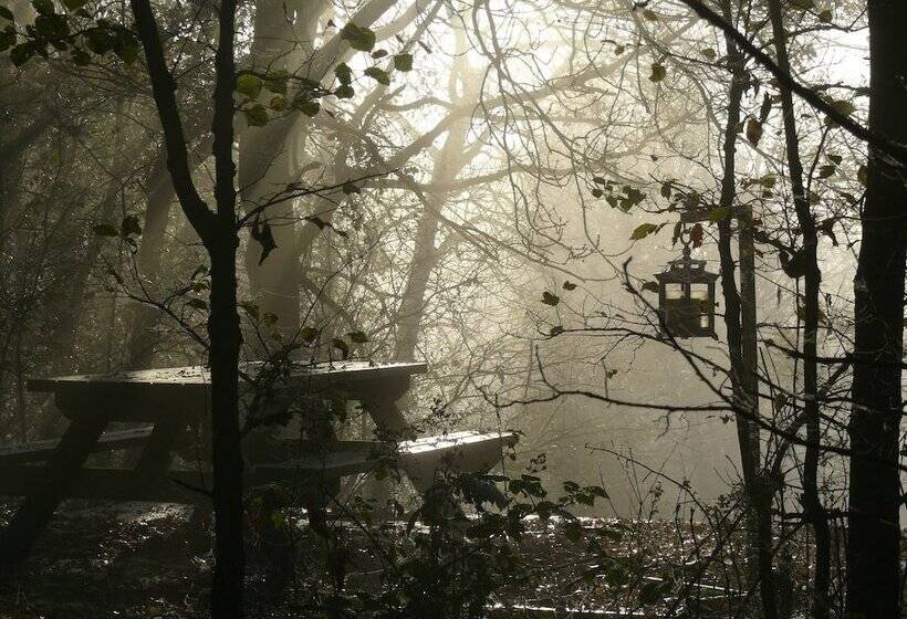 酒店 The Motor House