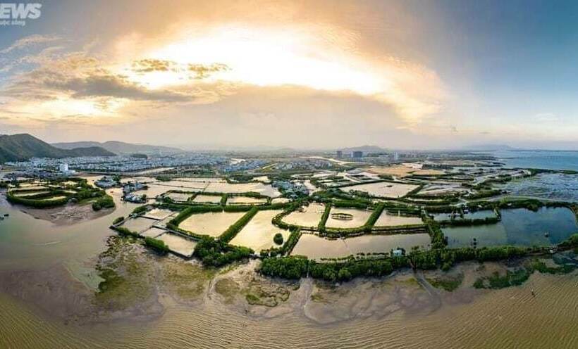 Nhatuishare Quy Nhon