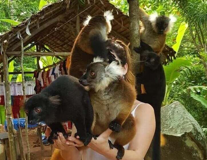 پانسیون 293 On Komba Guest Lodge Adults Only