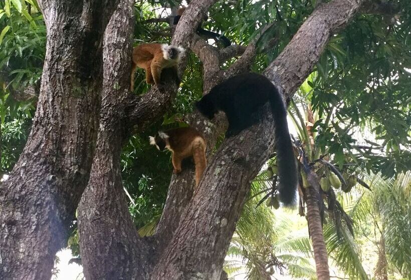 پانسیون 293 On Komba Guest Lodge Adults Only