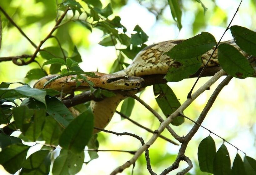 پانسیون 293 On Komba Guest Lodge Adults Only