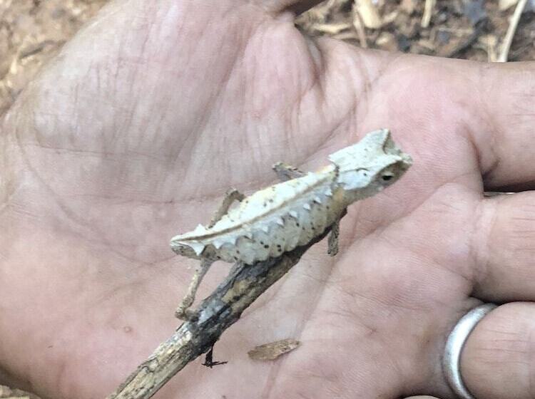 پانسیون 293 On Komba Guest Lodge Adults Only