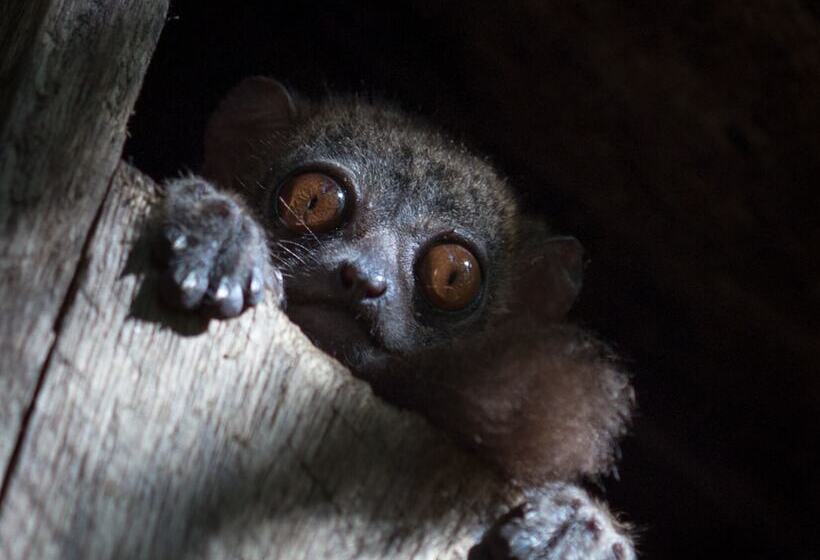 پانسیون 293 On Komba Guest Lodge Adults Only