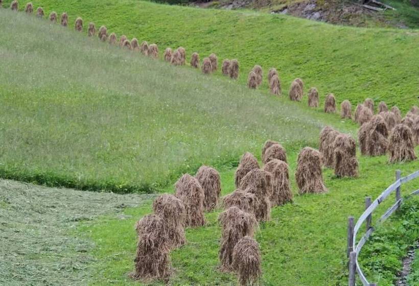 Пансион Gastbetrieb Alpenhof