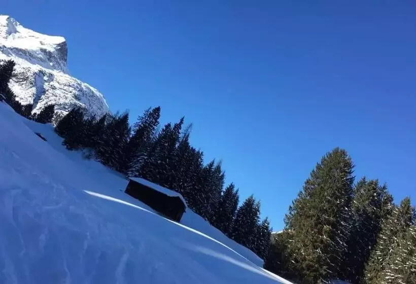 ペンション Gastbetrieb Alpenhof