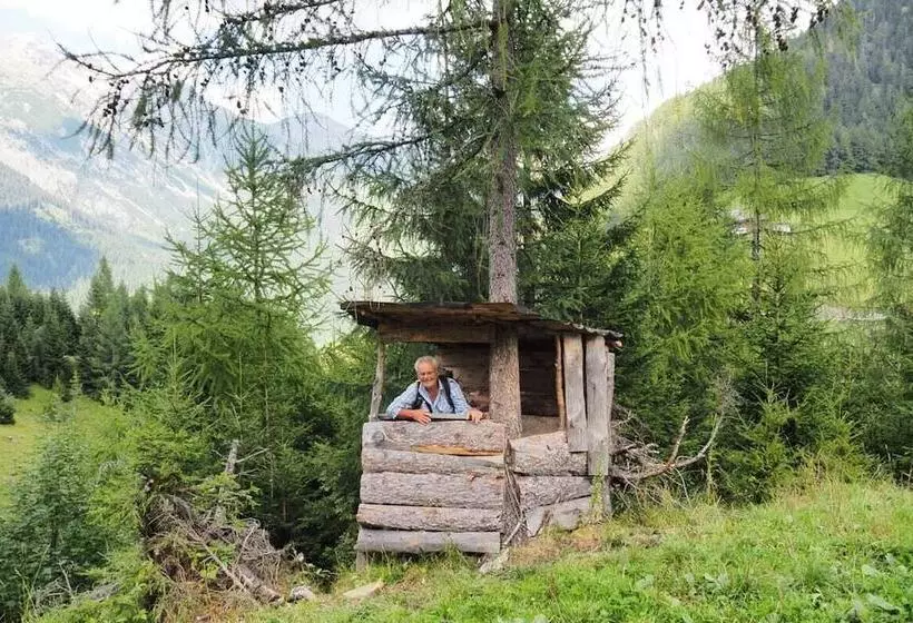 ペンション Gastbetrieb Alpenhof