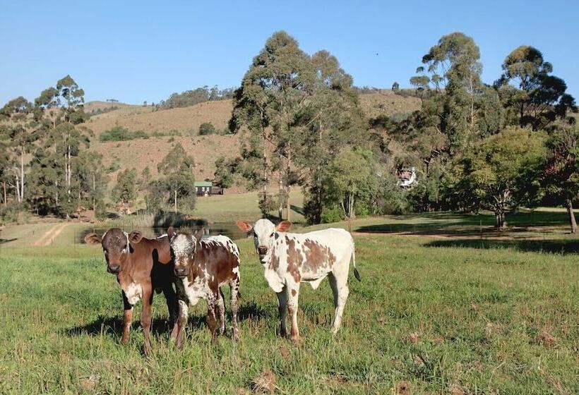 Пансион Troutways Private Retreat