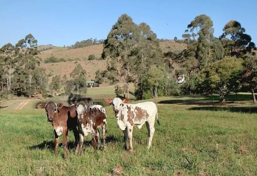 Majatalo Troutways Private Retreat