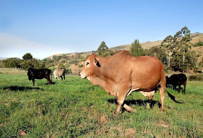 Пансион Troutways Private Retreat