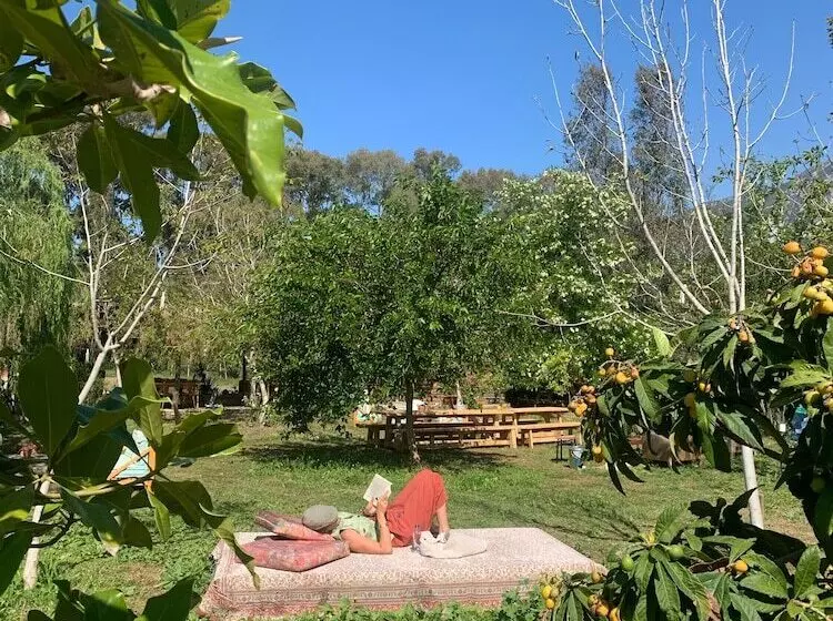 Majatalo Bhavana Gokova