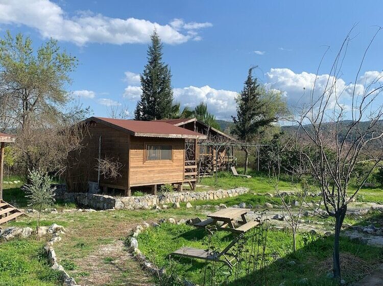 膳宿费 Bhavana Gokova