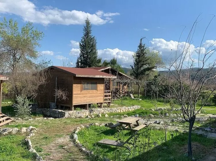 Majatalo Bhavana Gokova