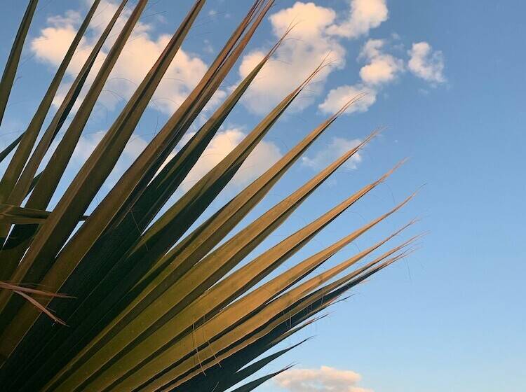 膳宿费 Bhavana Gokova