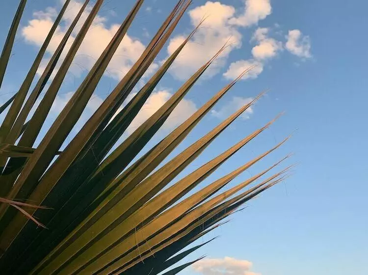 Majatalo Bhavana Gokova