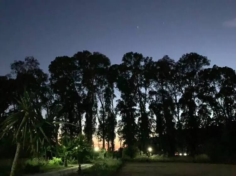 Majatalo Bhavana Gokova