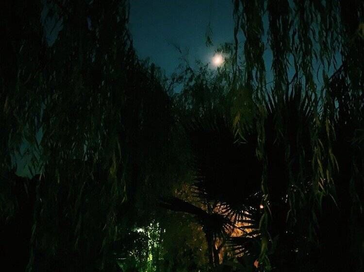 膳宿费 Bhavana Gokova