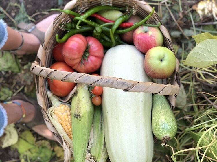 膳宿费 Bhavana Gokova