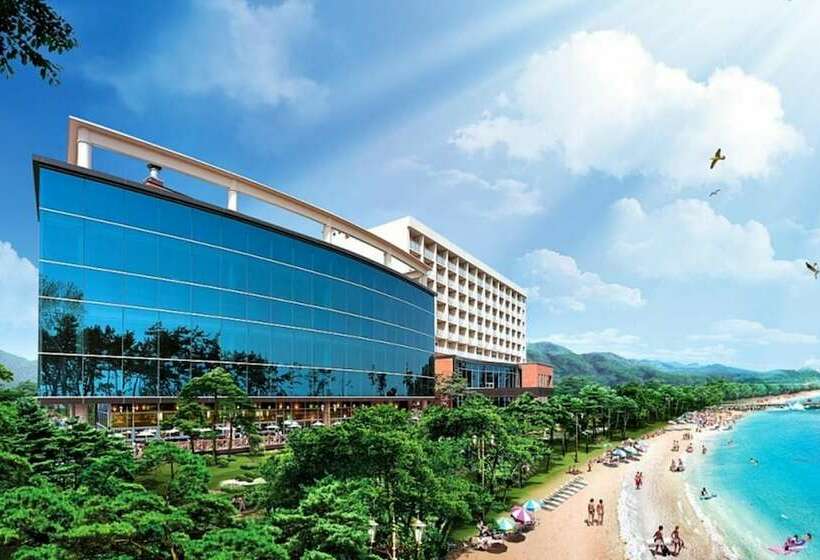 Resort Boseong Davichi Condo