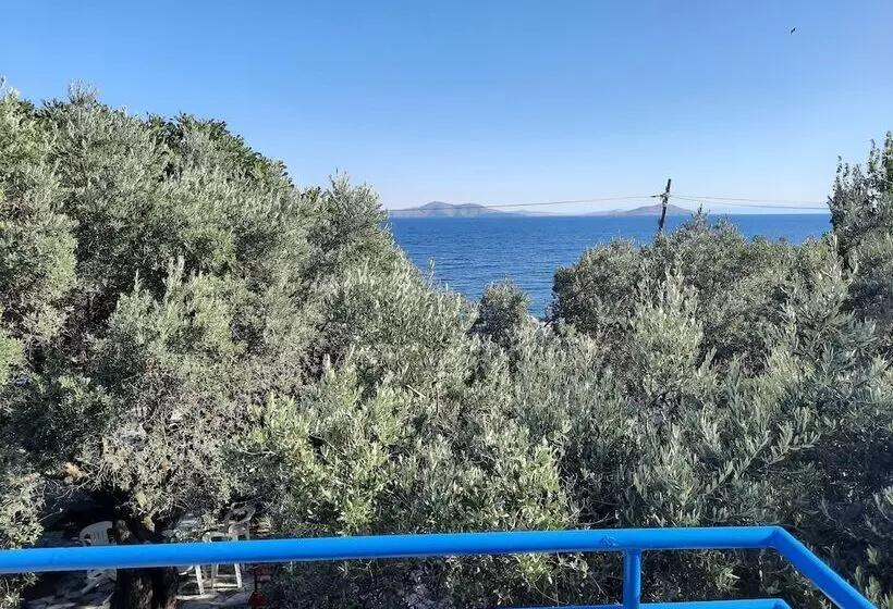 Aamiaismajoitus (B&B) Ada Art Guesthouse