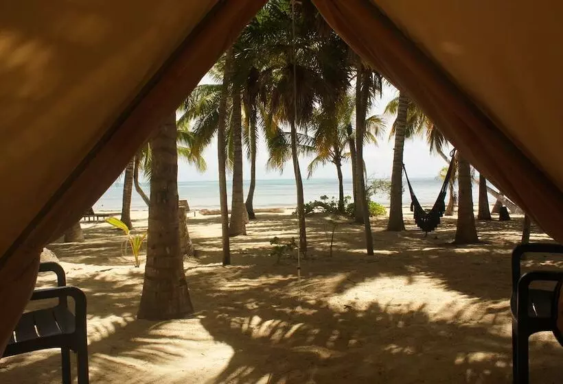 Hotelli Cielo Y Selva