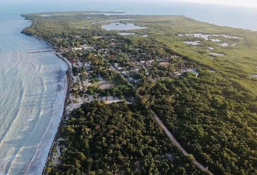 Hotelli Cielo Y Selva