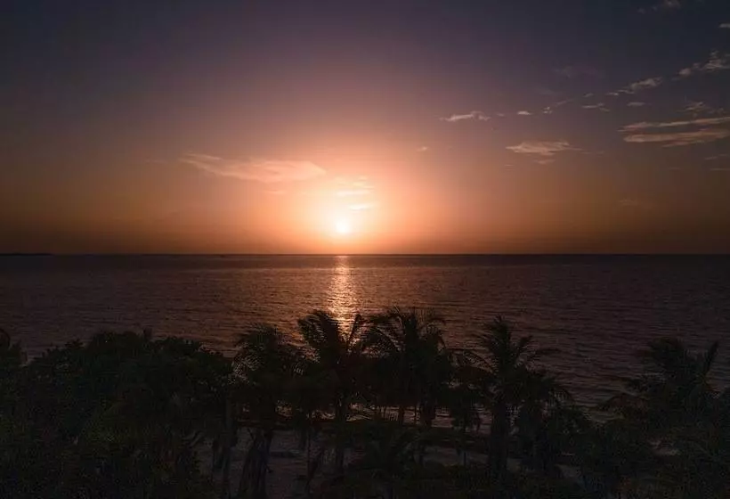 Hotelli Cielo Y Selva