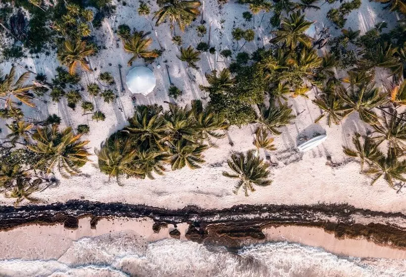 Hotelli Cielo Y Selva