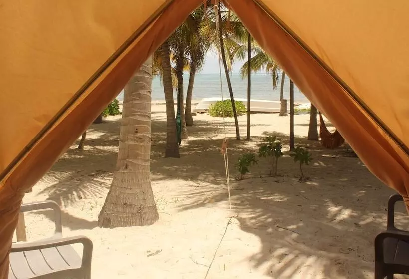 Hotelli Cielo Y Selva