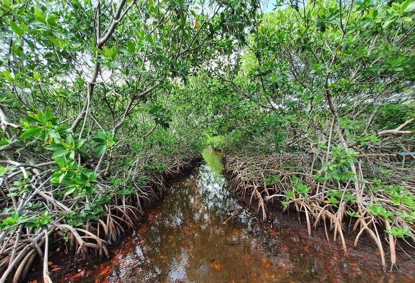 酒店 Cielo Y Selva