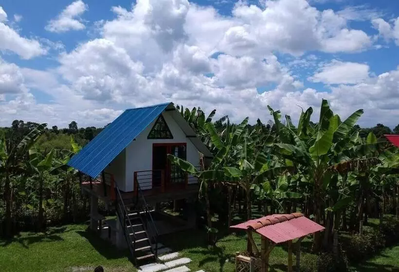 Hotelli Finca Ecoturistica La Argelia