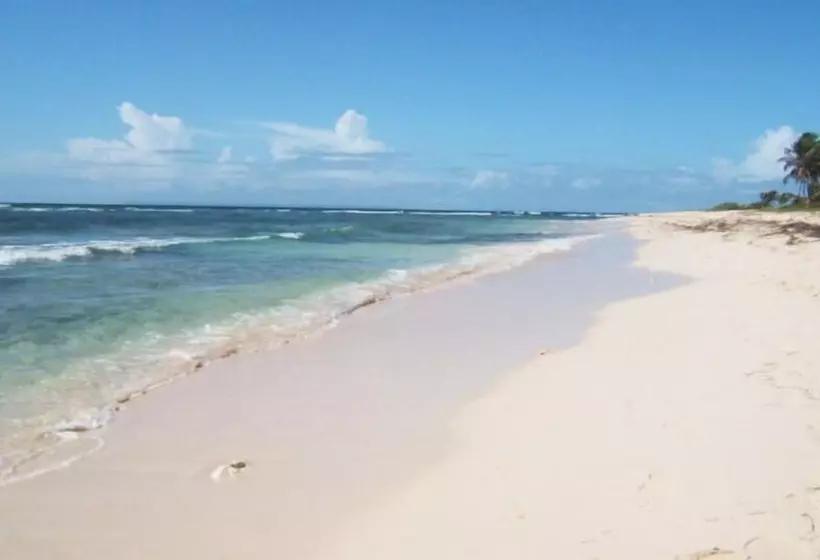 هتل Hibiscus