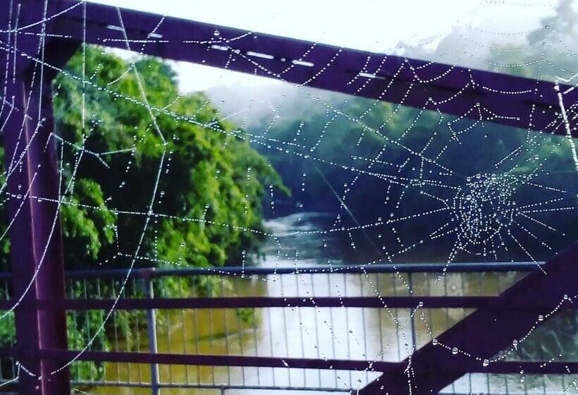 ホテル Nino S Pousada